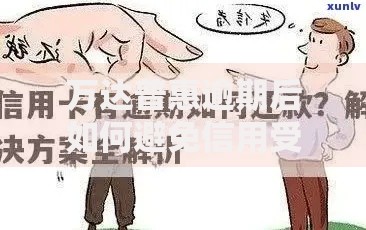 万达普惠逾期后如何避免信用受损？解决方案全解析
