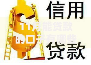 11月能贷款的口子有哪些正规低息渠道？