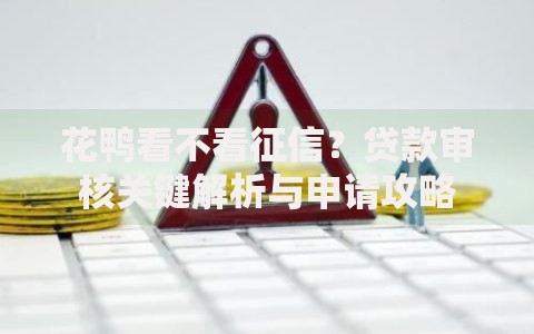 花鸭看不看征信？贷款审核关键解析与申请攻略