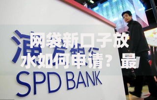 网袋新口子放水如何申请？最新低息渠道深度解析