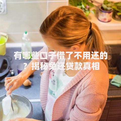 有哪些口子借了不用还的？揭秘免还贷款真相