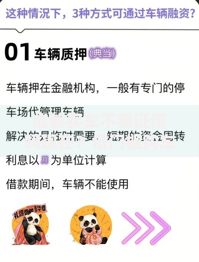 成都买车不看征信吗现在？低门槛购车贷款深度解析