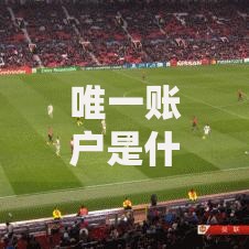 唯一账户是什么意思？三分钟看懂这个生活必备工具