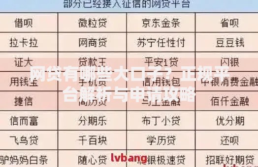 网贷有哪些大口子？正规平台解析与申请攻略