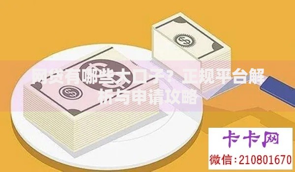 网贷有哪些大口子？正规平台解析与申请攻略