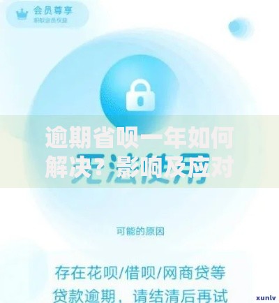 逾期省呗一年如何解决？影响及应对策略详解