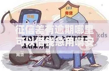 征信差有逾期哪里可以借钱急用啊安信花？征信不良借款渠道解析