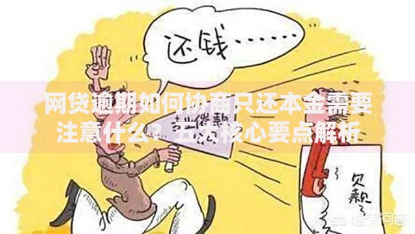 网贷逾期如何协商只还本金需要注意什么？五大核心要点解析
