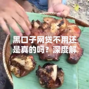 黑口子网贷不用还是真的吗？深度解析背后真相