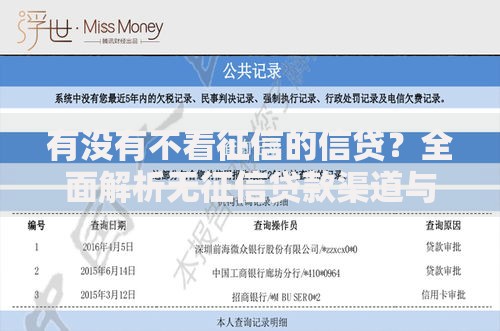 有没有不看征信的信贷？全面解析无征信贷款渠道与风险