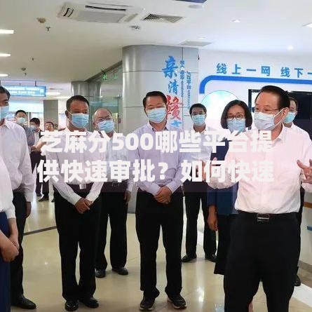 芝麻分500哪些平台提供快速审批？如何快速通过？