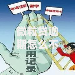 微粒贷逾期怎么不上征信？深度解析信用记录影响机制