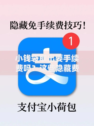 小钱袋取出要手续费吗？这些隐藏费用和免手续费技巧必须知道