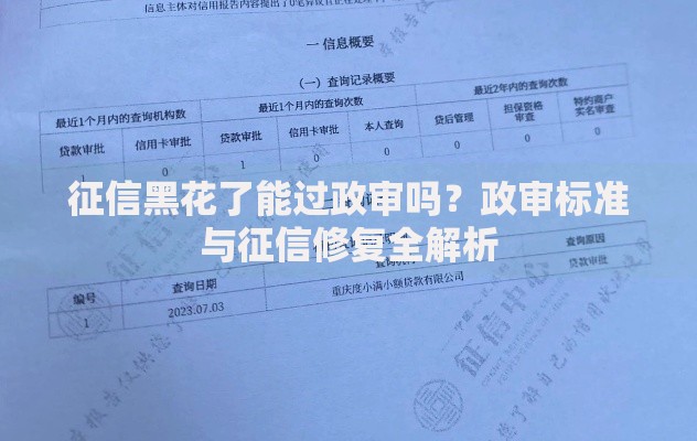 征信黑花了能过政审吗？政审标准与征信修复全解析
