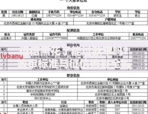 征信黑花了能过政审吗？政审标准与征信修复全解析