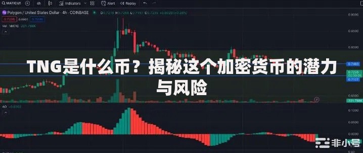 TNG是什么币？揭秘这个加密货币的潜力与风险