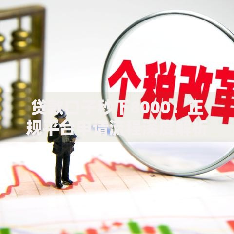 贷款口子秒下8000：正规平台申请流程深度解析