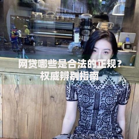 网贷哪些是合法的正规？权威辨别指南