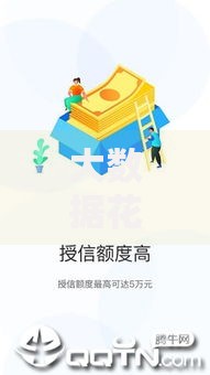 大数据花贷款口子如何申请？深度解析申请流程与风险