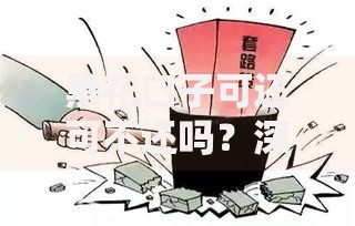黑花口子可还可不还吗？深度解析借贷风险与法律后果