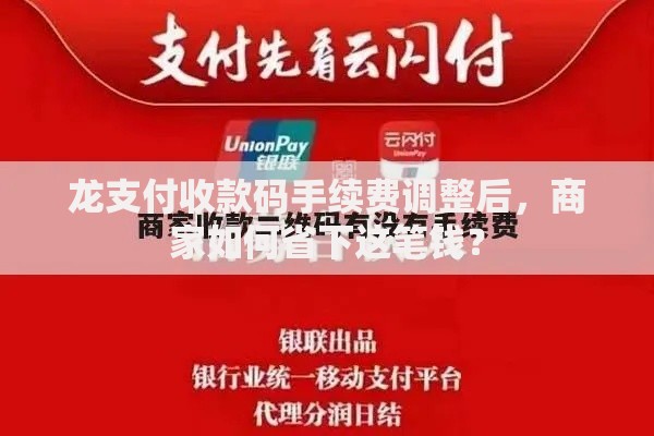 龙支付收款码手续费调整后，商家如何省下这笔钱？