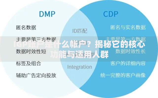 IGP账户是什么帐户？揭秘它的核心功能与适用人群