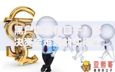 黑户哪里有口子？解决资金难题的实用途径解析