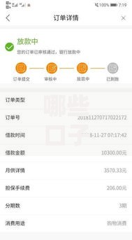 哪些口子下款最快？这五类平台审核最快到账
