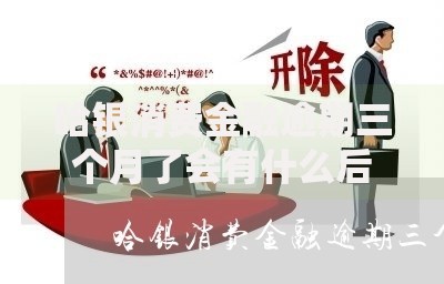 哈银消费金融逾期三个月了会有什么后果？逾期处理指南