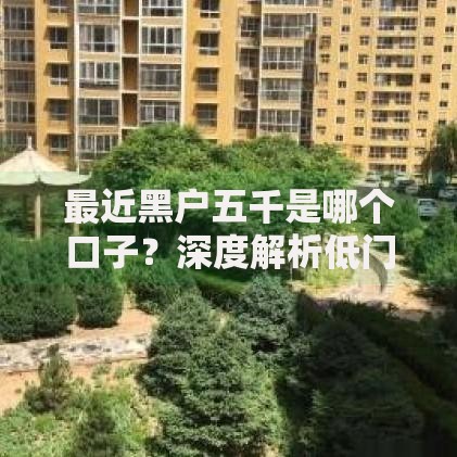 最近黑户五千是哪个口子？深度解析低门槛贷款渠道