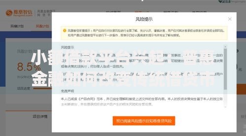 小额借款平台兴起：普惠金融如何改变传统借贷市场？