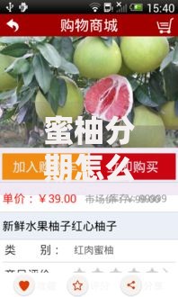 蜜柚分期怎么下载？安全安装与使用全攻略