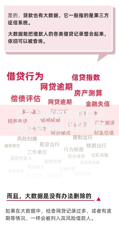 是不是真的有那种不看征信就能贷款的网贷平台？真相解析
