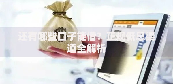 还有哪些口子能借？正规低息渠道全解析