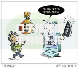 口子姐哪里来的钱？揭秘贷款背后的资金真相与风险