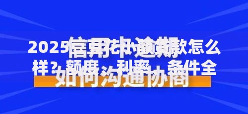 2025豆豆花小额贷款怎么样？额度、利率、条件全解析