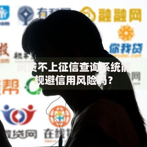 网贷不上征信查询系统能规避信用风险吗？