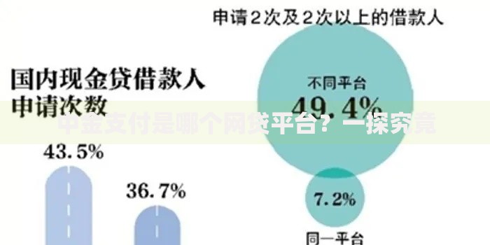 中金支付是哪个网贷平台？一探究竟