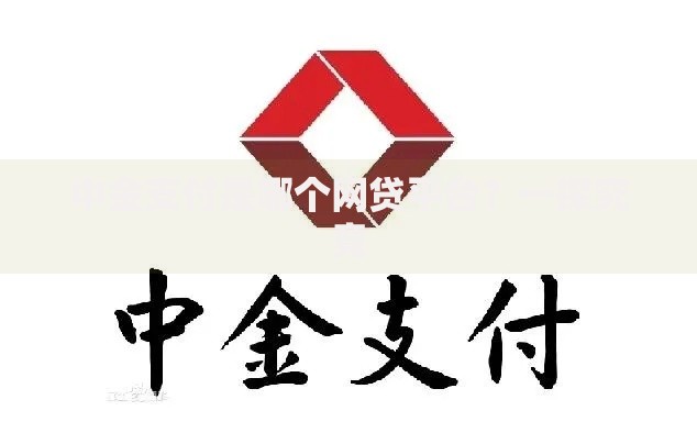 中金支付是哪个网贷平台？一探究竟