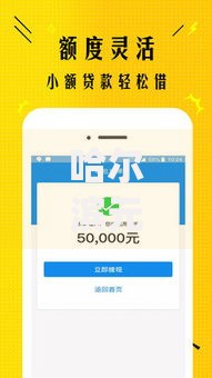 哈尔滨元丰小额贷款app正规安全吗？低息借款流程解析
