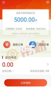 借5000不看征信秒下款白猎贷：如何快速申请到账？