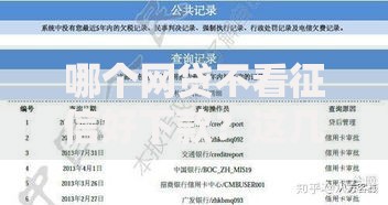 哪个网贷不看征信好下款？这几家平台审核宽松放款快