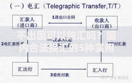 不出国可以购汇吗？国内合法换汇的5种实用方法