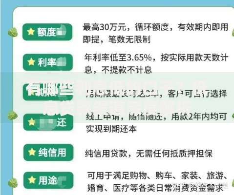 有哪些利息低的口子？低息贷款渠道深度解析