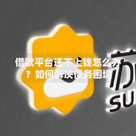借款平台还不上钱怎么办？如何解决债务困境