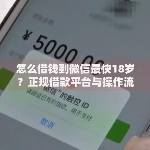 怎么借钱到微信最快18岁？正规借款平台与操作流程解析