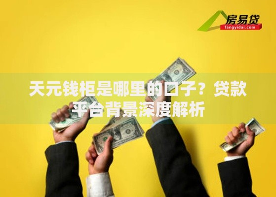 天元钱柜是哪里的口子？贷款平台背景深度解析