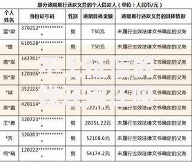 不上征信的钱还用还吗？深度解析债务责任与法律风险