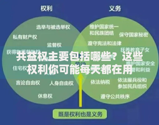 共益权主要包括哪些？这些权利你可能每天都在用