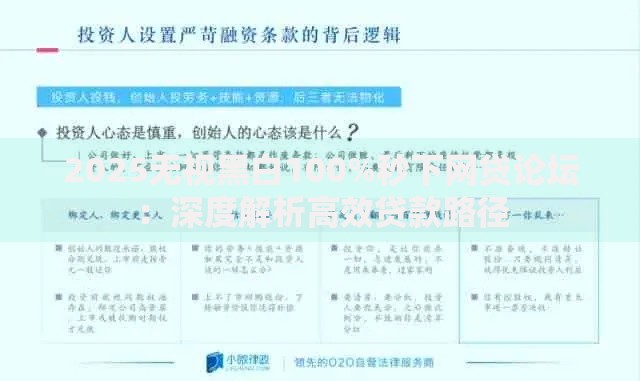 2025无视黑白100%秒下网贷论坛：深度解析高效贷款路径